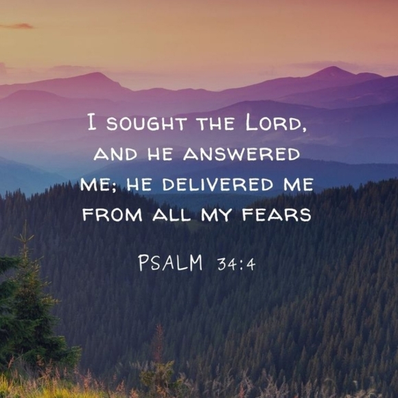 Meet your Posher, Kelly - Picture 2 of 2